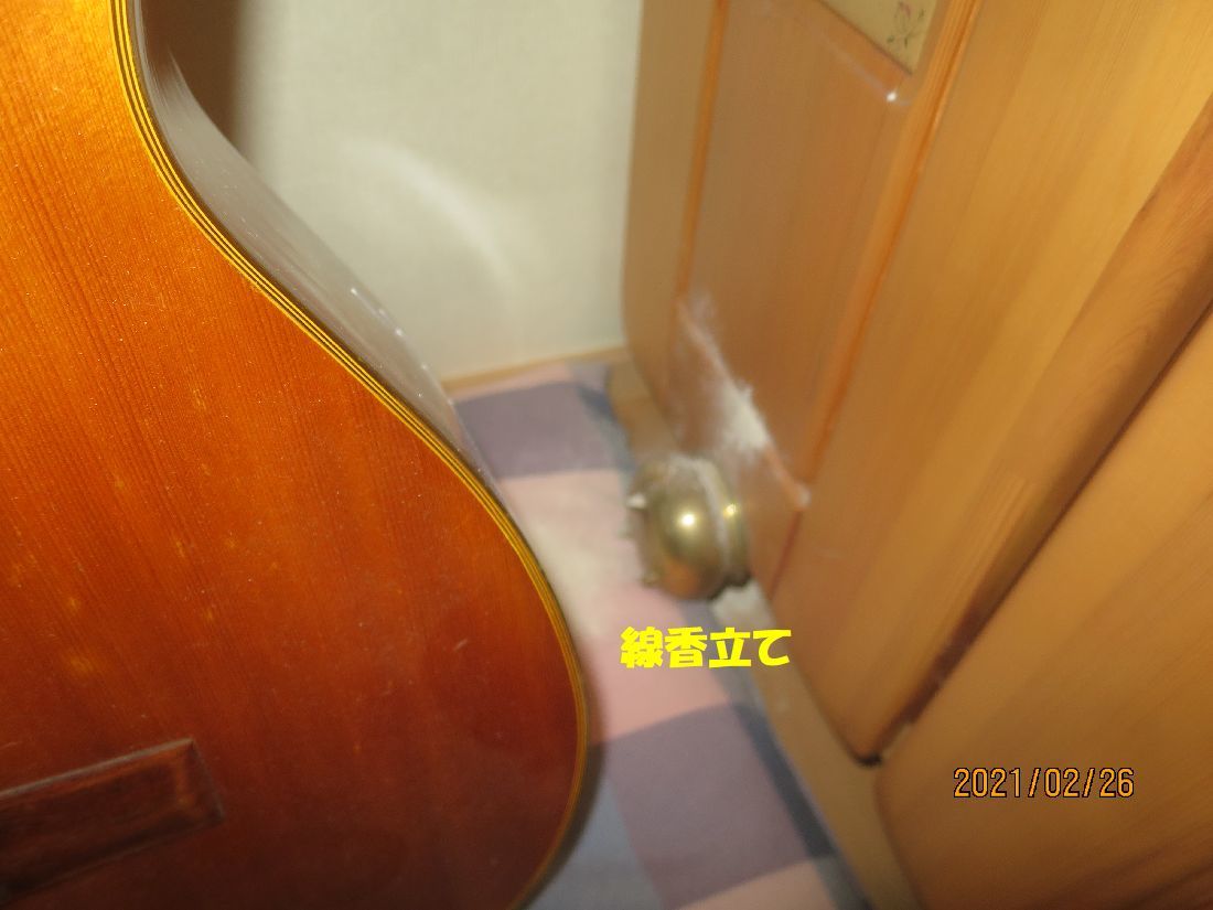 51265919.jpg
