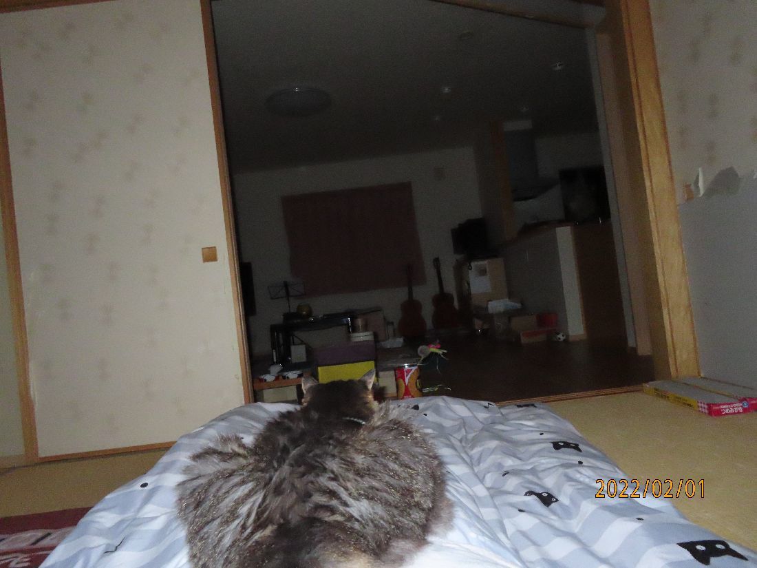51736f03.jpg