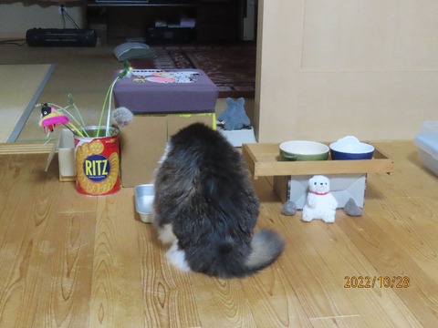 水飲み