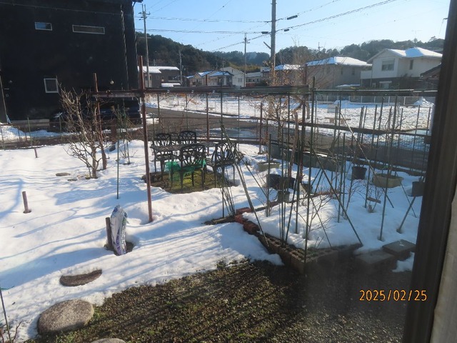 雪解け①