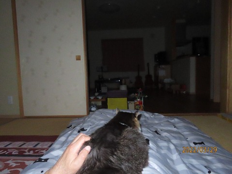 よしよし