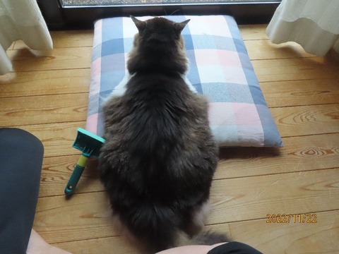 お待たせ八時半