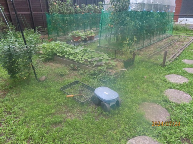 草引きでも・・・