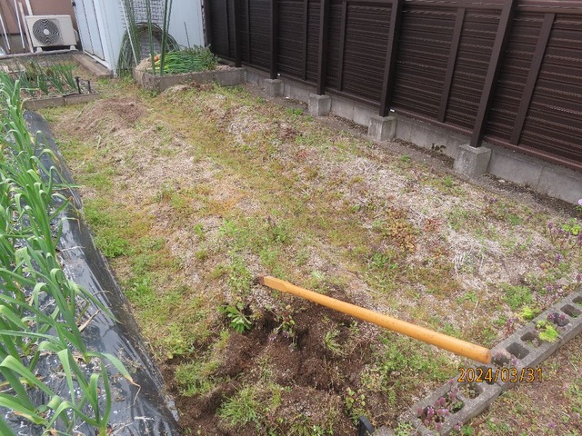 畝起こし②