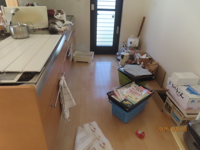 キッチン荒らし