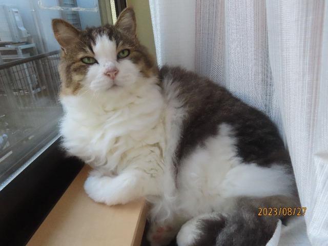 和室でおはよう