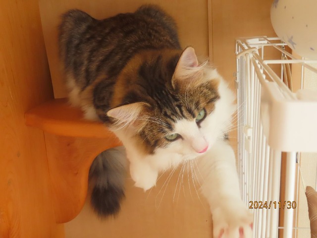 タワー①