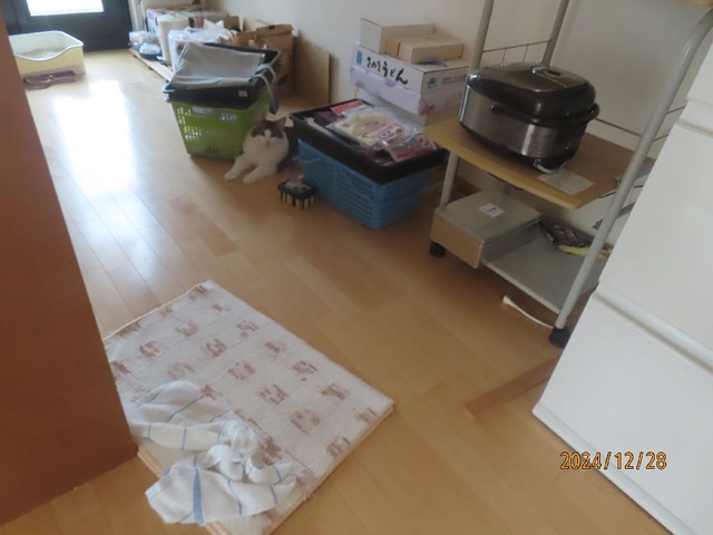 キッチン散らかし