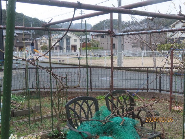 金具外したブドウ棚