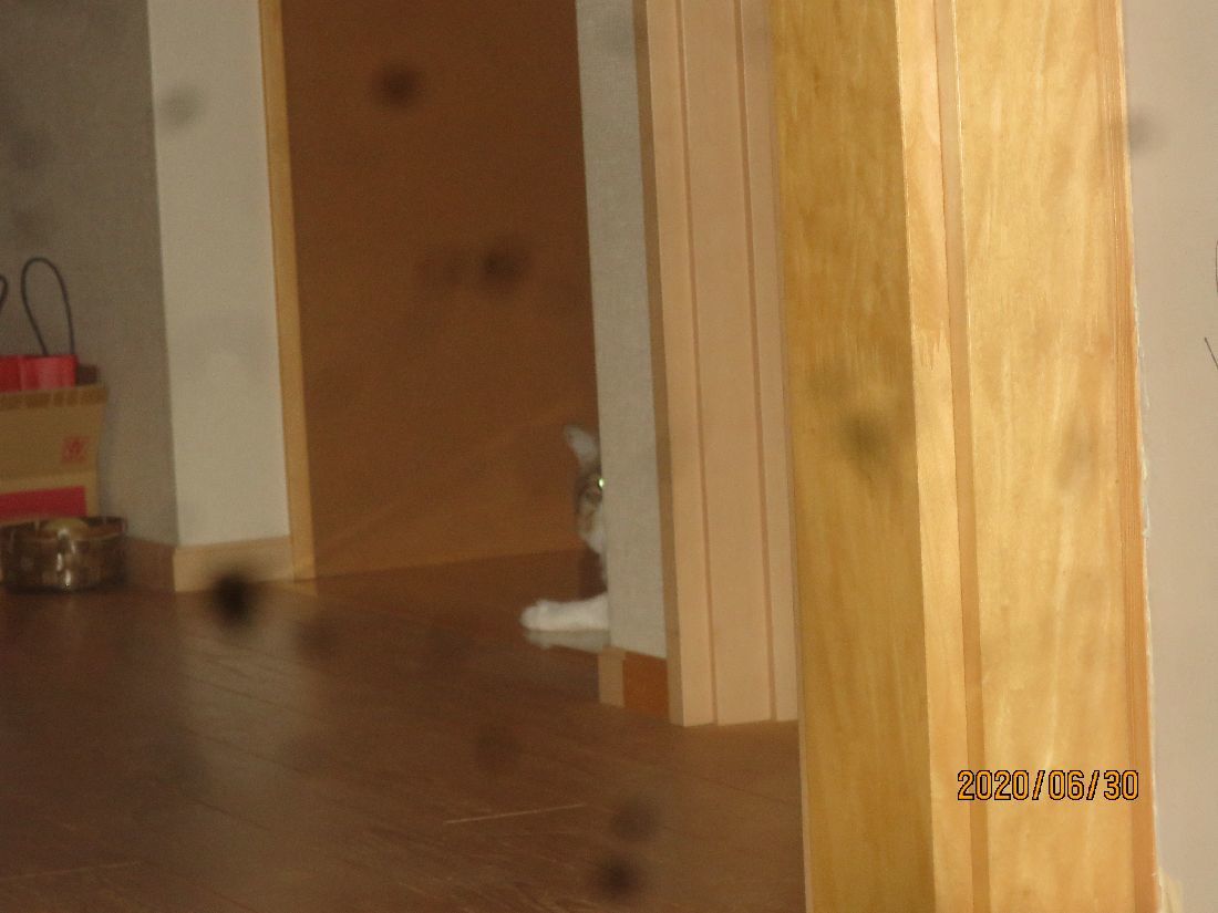 5d000764.jpg