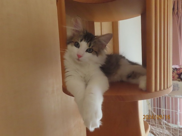 タワー①