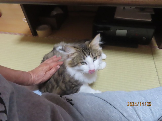 いい子だね