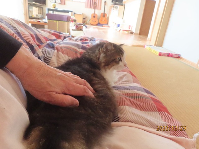 八時③どしたん？