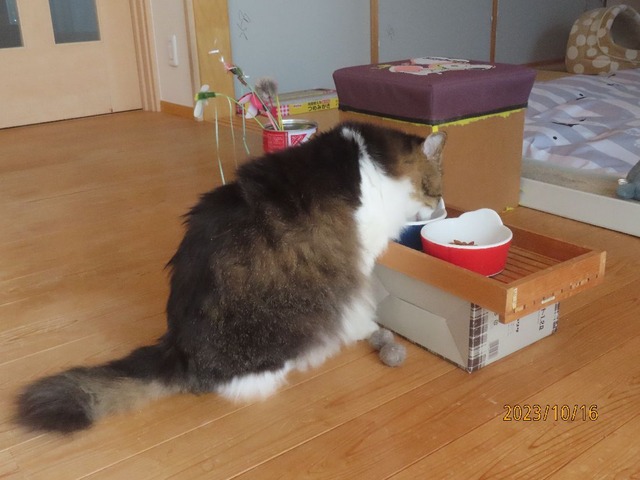 朝ごはん②