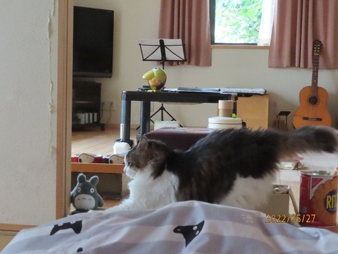 トイレ後バリバリ