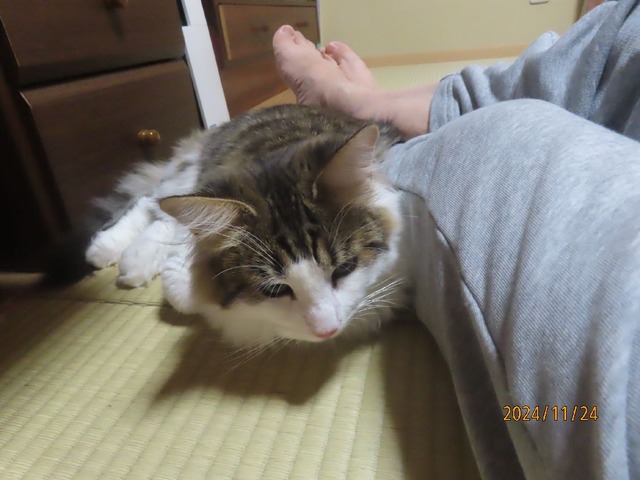 ブログ更新中②