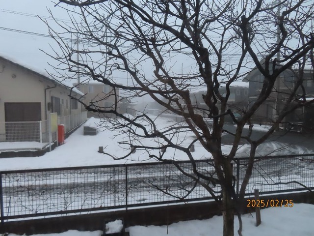 朝霧西