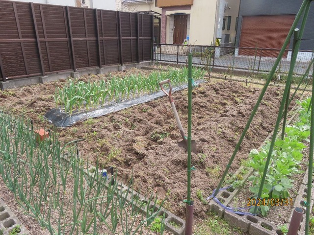 畝起こし全体