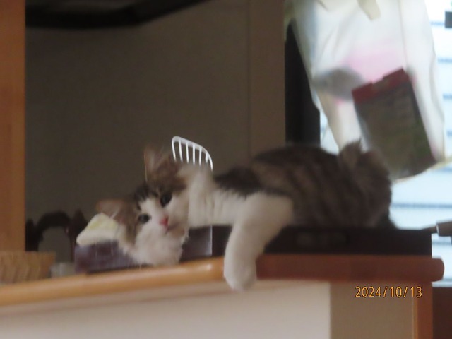 キッチンカウンター