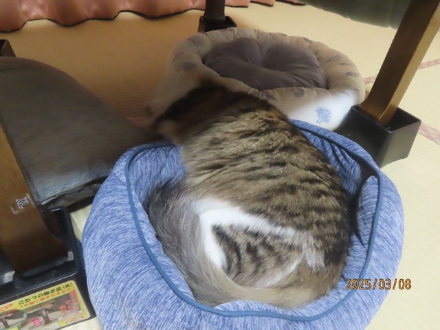 九時五十分ベッド