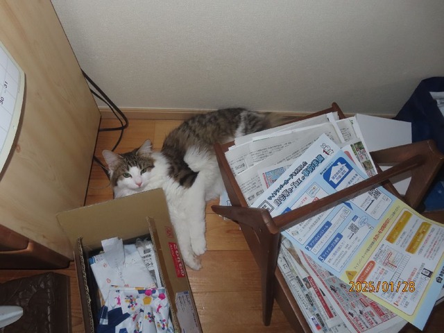 大好きコーナー