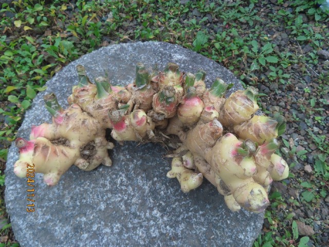 出来の良いもの