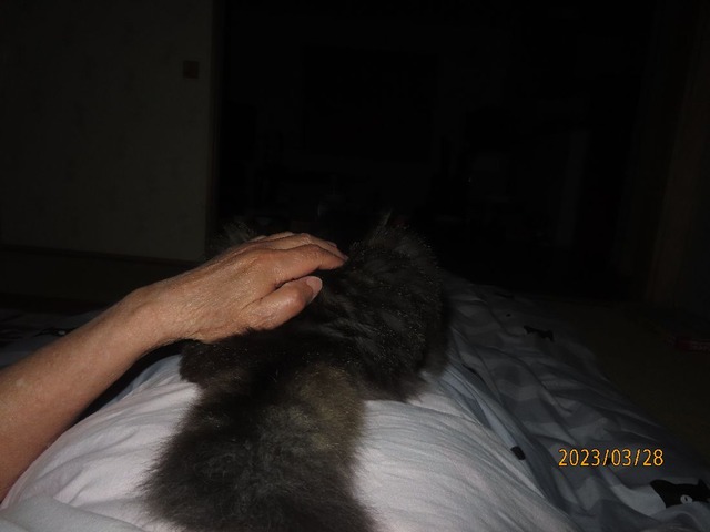 一時どすよしよし