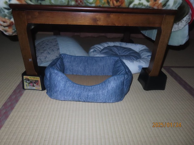 四時前ベッドは空