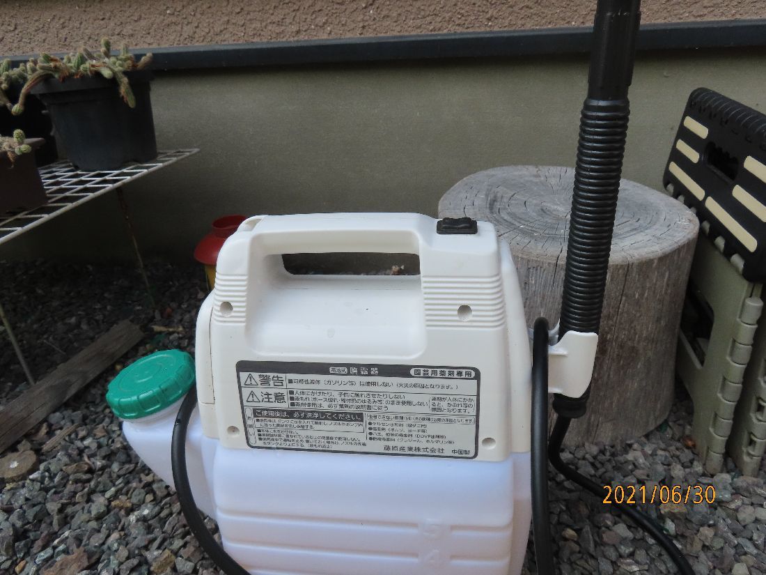 616e7493.jpg