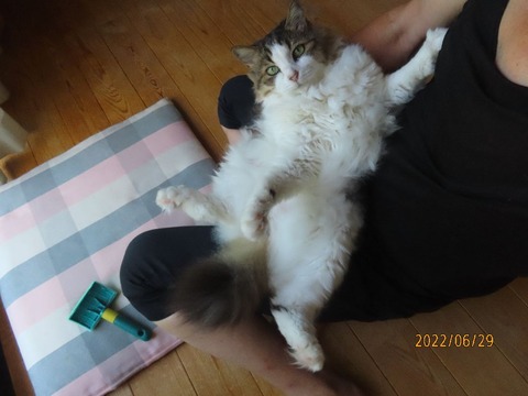 おしまい抱っこ②