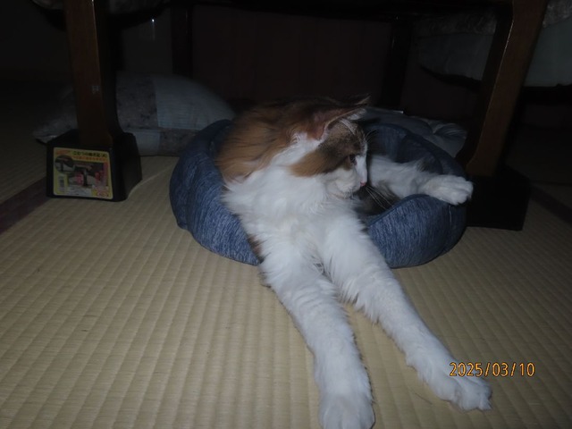 起きて来た