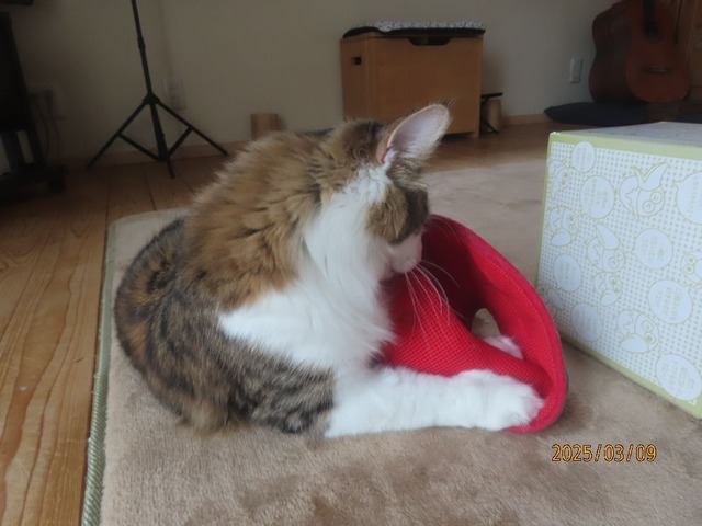 えりから