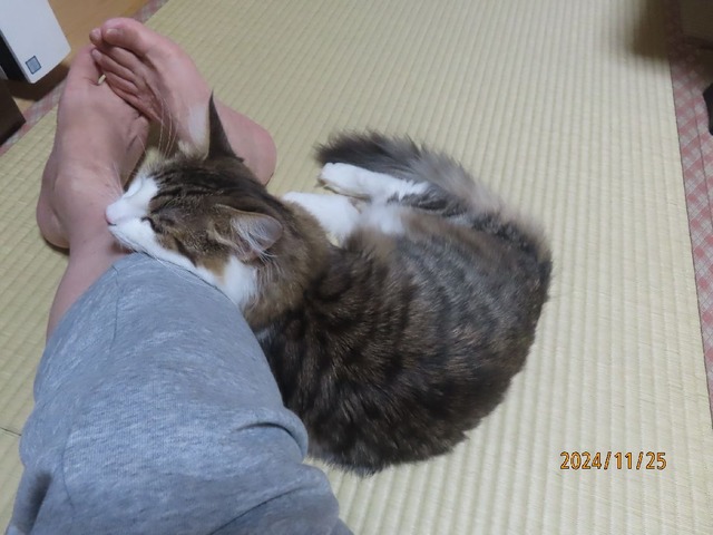 ブログ更新中③