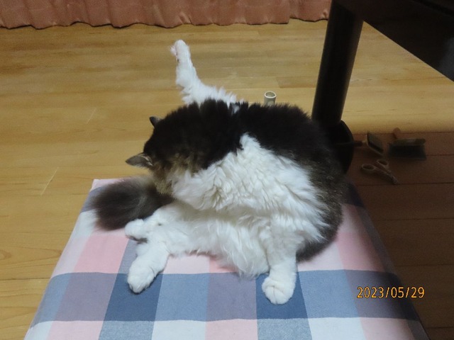 お手入れ