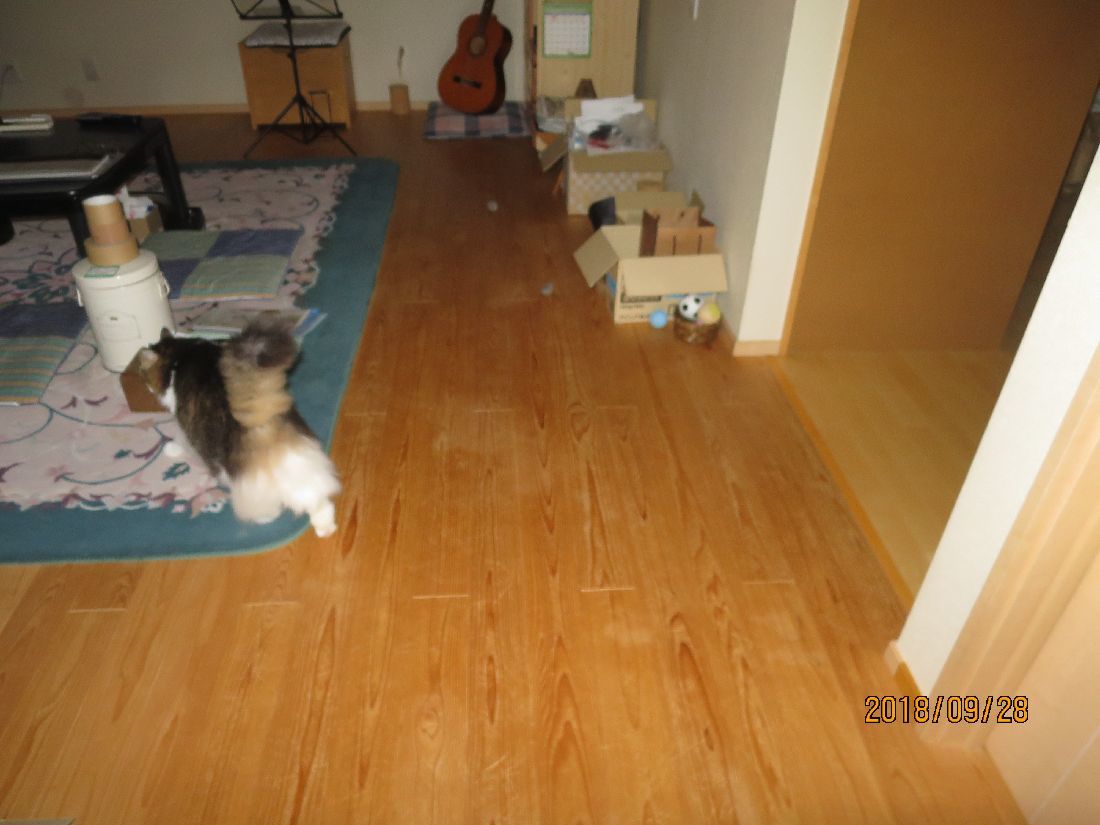 6d5e9f22.jpg