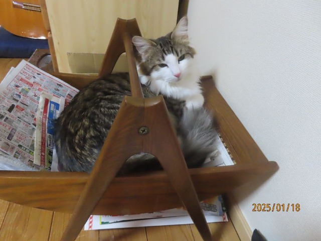 零時新聞ラック