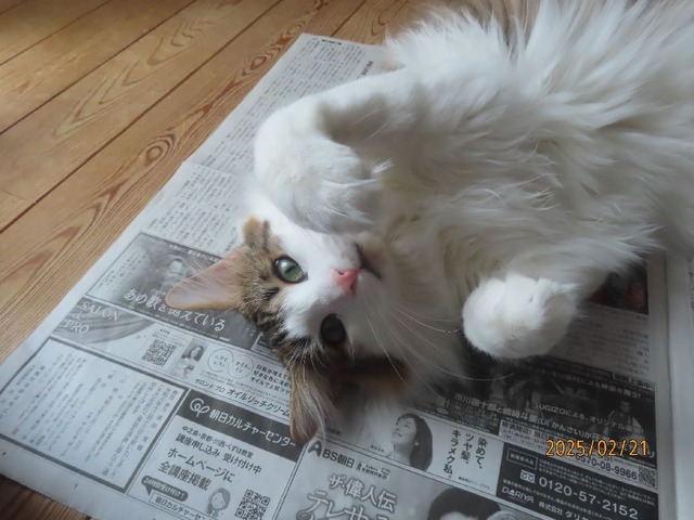 新聞アップ