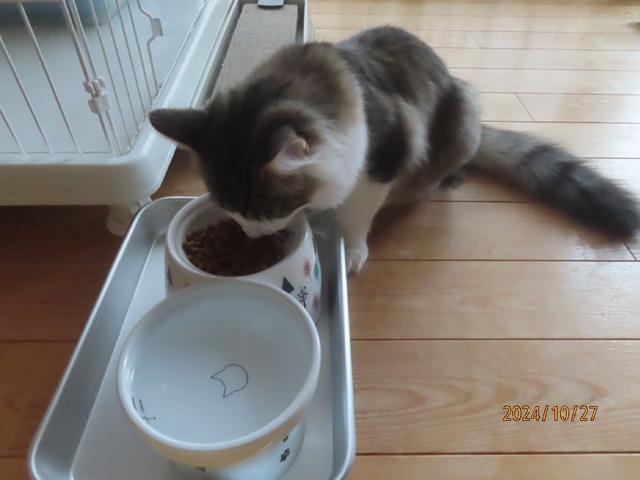 七時半アサゴハン