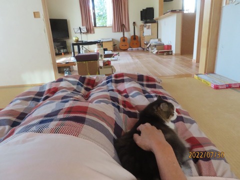 また来たよよしよし