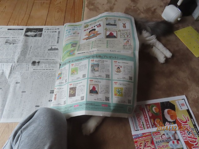 新聞