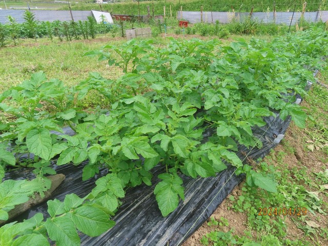 まずまずですね