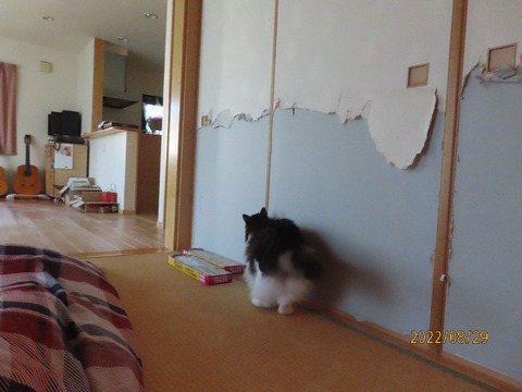 七時半爪とぎへ