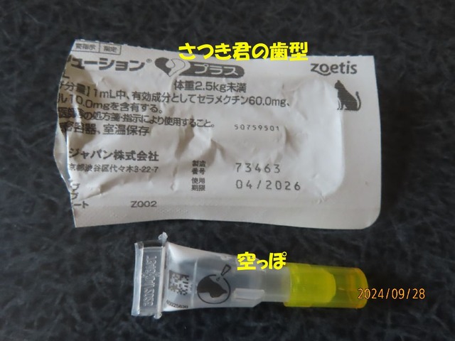 レボリューション