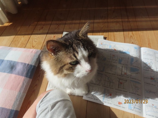 新聞
