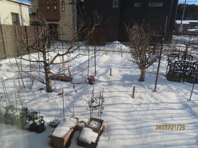 雪解け進む