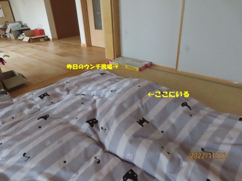 蒲団潜り