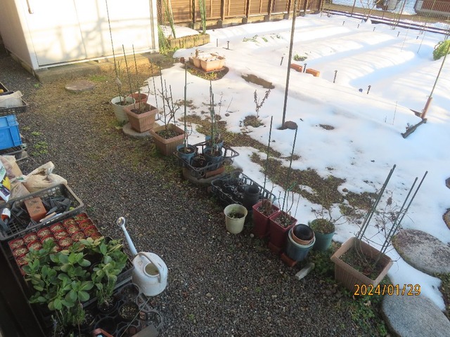 雪解け進む②