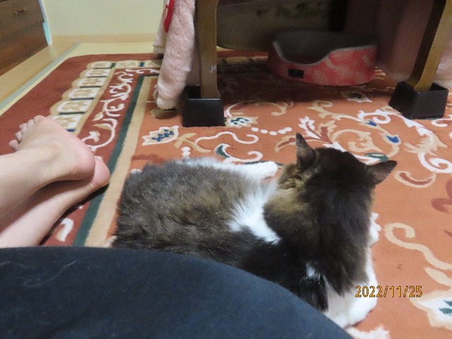 傍でほっこり①