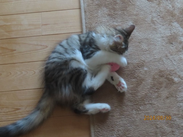 ボール②