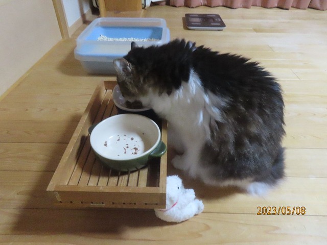 ドライちょっと